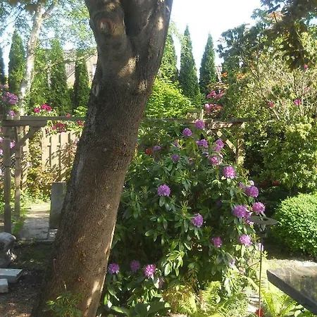 Apartament Fewo 